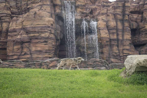 Columbus Zoo and Aquarium North America Renovations