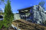 Photo of the finished Mayari Pritzker Penguin Cove at Lincoln Park Zoo
