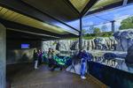 Photo of the finished Mayari Pritzker Penguin Cove at Lincoln Park Zoo