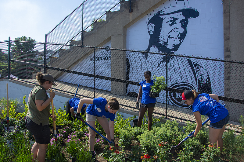 Ross-Park-Planting-Cincinnati-Reds