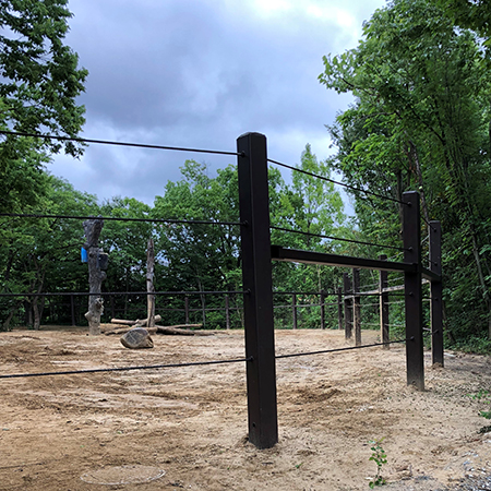 Elephant-Habitat-Expansion Elephant-Habitat-Expansion