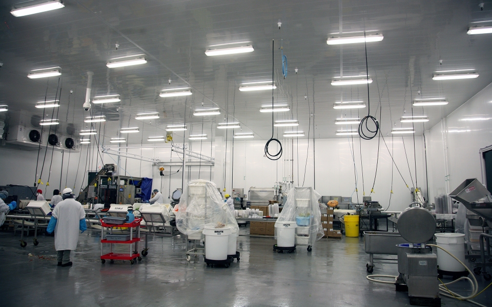 File Pepper Construction