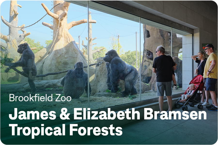 Brookfield Zoo Tropical Forests