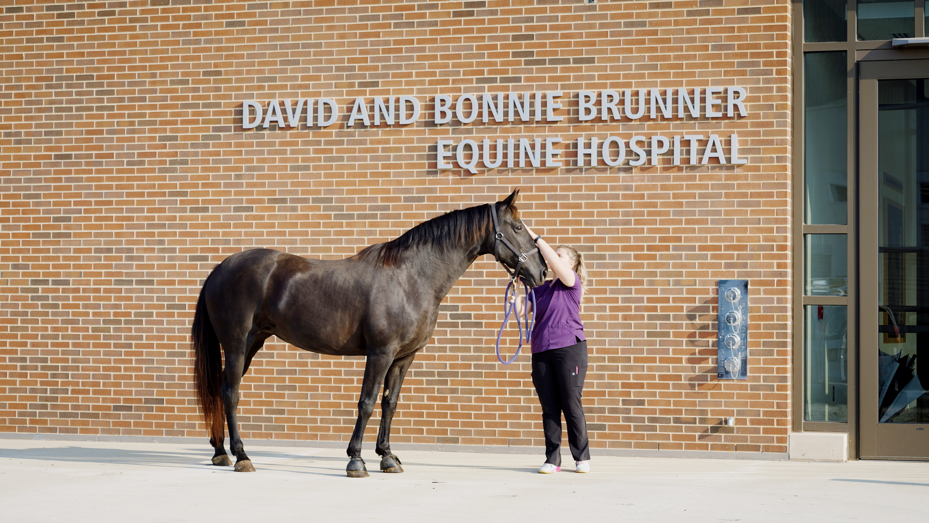 College of Veterinary Medicine's Large and Small Animal Hospitals College of Veterinary Medicine's Large and Small Animal Hospitals