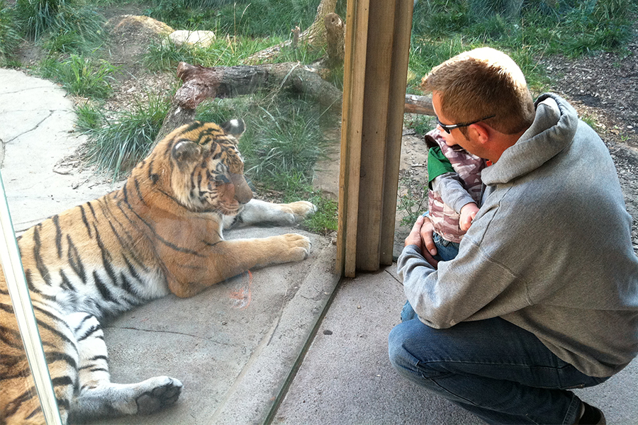 Tiger! Tiger! Exhibit