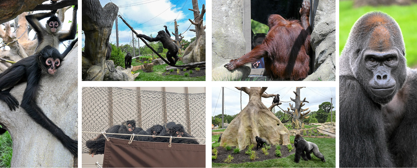 Brookfield Zoo