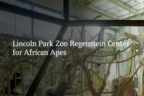 Lincoln Park Zoo Regenstein Center for African Apes