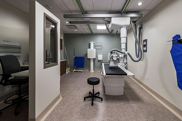 Aurora Orthopedics