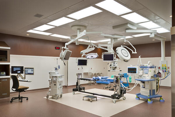 Provena surgery 