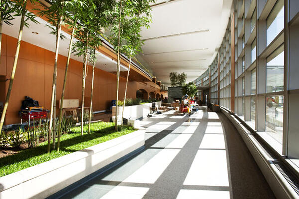 Glenbrook Hospital atrium