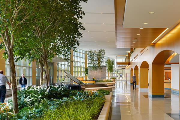 Glenbrook Hospital atrium