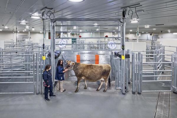 Farm Animal Hospital