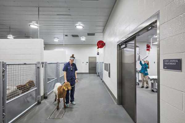 Science and Technology, pharmaceutical, life sciences, production, biology, cleanroom, Purdue University, Pepper Indiana, Pepper Construction, Animals, Horses, Indiana, Boilers, Vets, Veterinary, doctors, Medicine, Teaching, Hospitals, Medicine Teaching Hospitals, Higher Education, College construction, Construction, Higher Education Construction