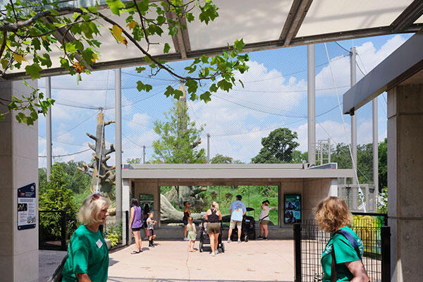 Bramsen Tropical Forests