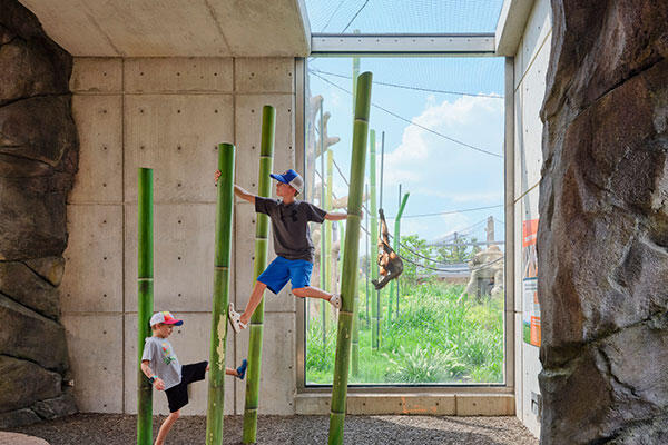 Bramsen Tropical Forests