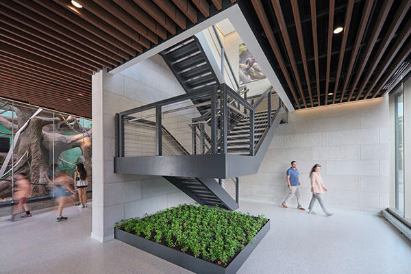 Bramsen Tropical Forests