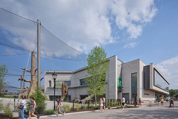 Bramsen Tropical Forests