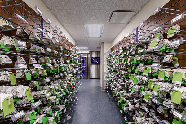 ACMC Pharmacy Renovation
