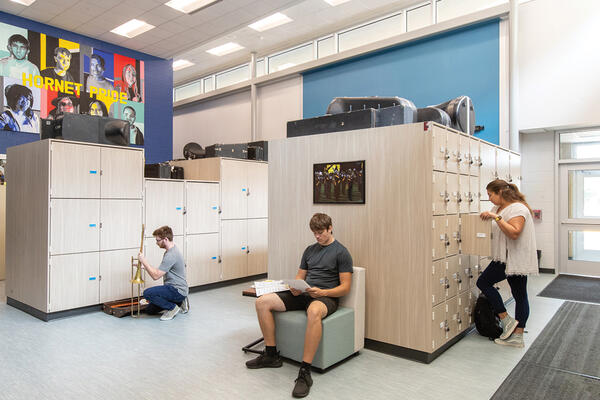 Hinsdale Study Area