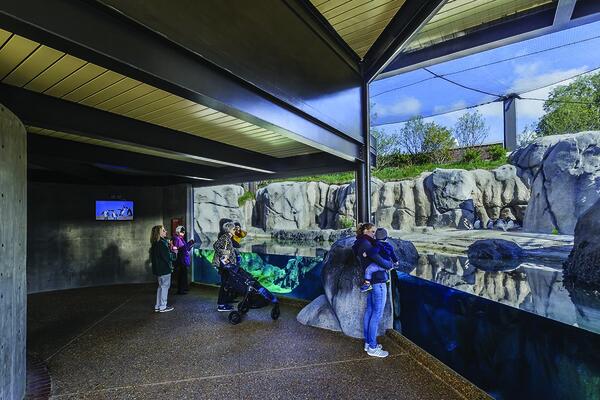Photo of the finished Mayari Pritzker Penguin Cove at Lincoln Park Zoo