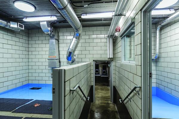 Photo of the finished Mayari Pritzker Penguin Cove at Lincoln Park Zoo