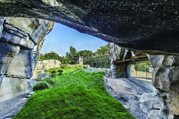 Photo of the finished Walter Artic Tundra Exhibit at Lincoln Park Zoo