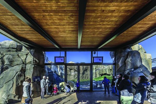 Photo of the finished Walter Artic Tundra Exhibit at Lincoln Park Zoo