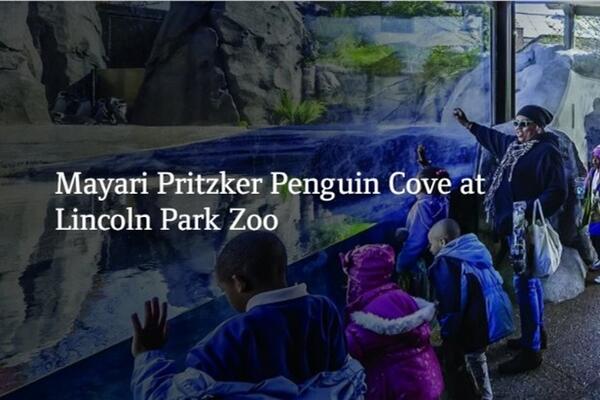 Mayari Pritzker Penguin Cove