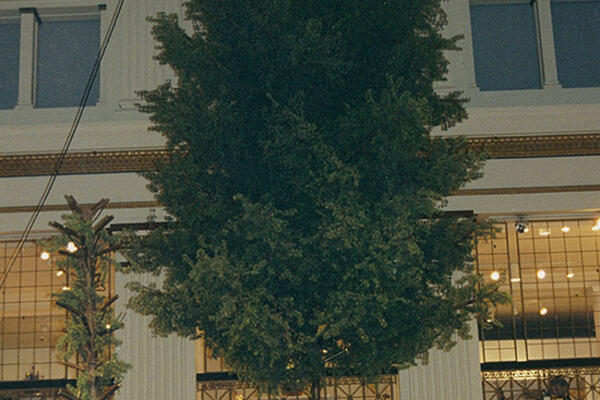 Installing Marshall Field's tree