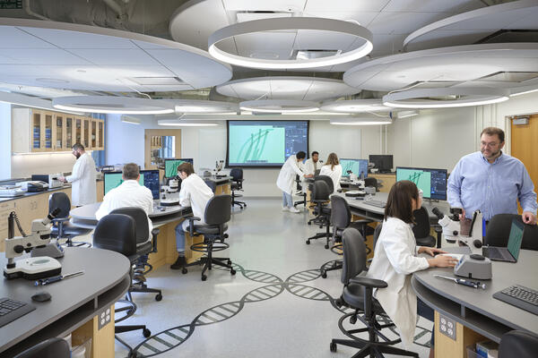 Northwestern University, Tech Bioscience Lab Renovation