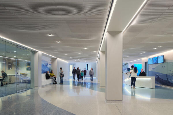 Shedd Interior Entrance