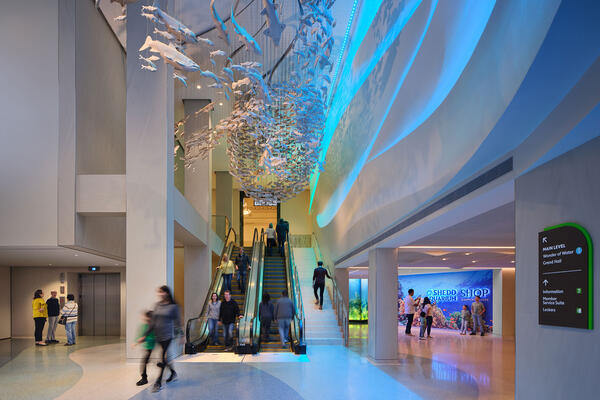 Shedd Escalator and Fish Sculpture