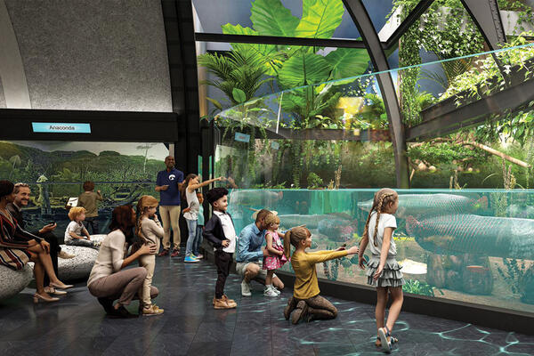 Shedd Aquarium renovation