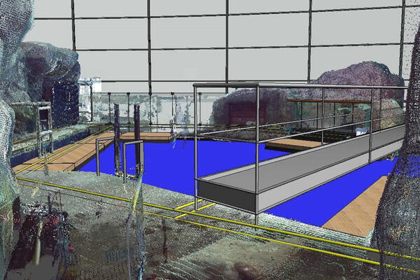Laser scan