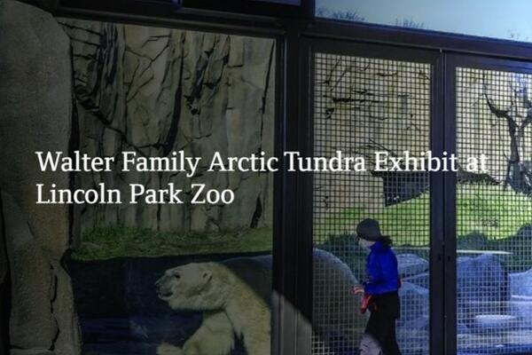 Walter Family Arctic Tundra Exhibit