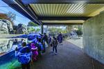 Photo of the finished Mayari Pritzker Penguin Cove at Lincoln Park Zoo