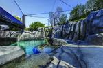 Photo of the finished Mayari Pritzker Penguin Cove at Lincoln Park Zoo