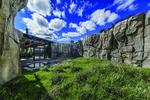 Photo of the finished Walter Artic Tundra Exhibit at Lincoln Park Zoo