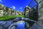 Photo of the finished Walter Artic Tundra Exhibit at Lincoln Park Zoo