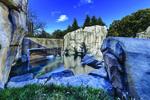 Photo of the finished Walter Artic Tundra Exhibit at Lincoln Park Zoo