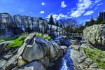 Photo of the finished Walter Artic Tundra Exhibit at Lincoln Park Zoo