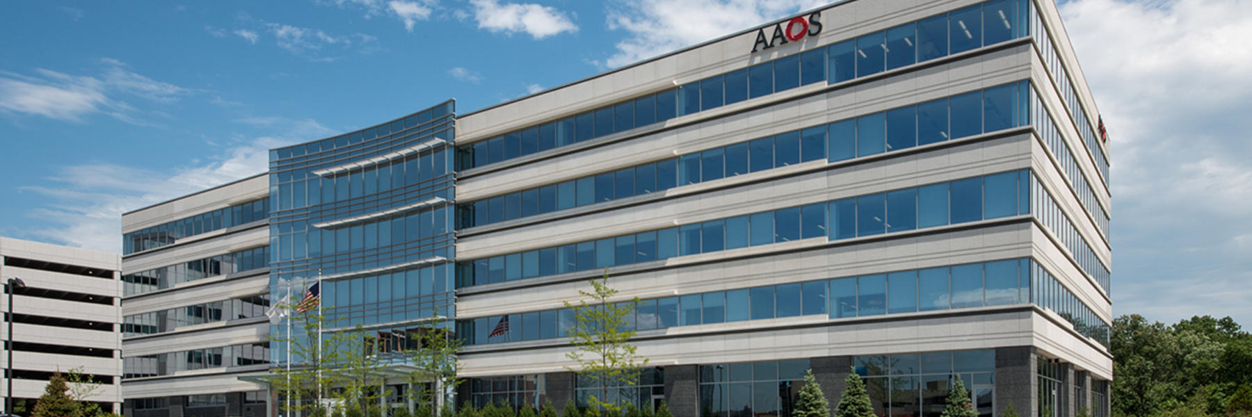 American Academy of Orthopaedic Surgeons Pepper Construction