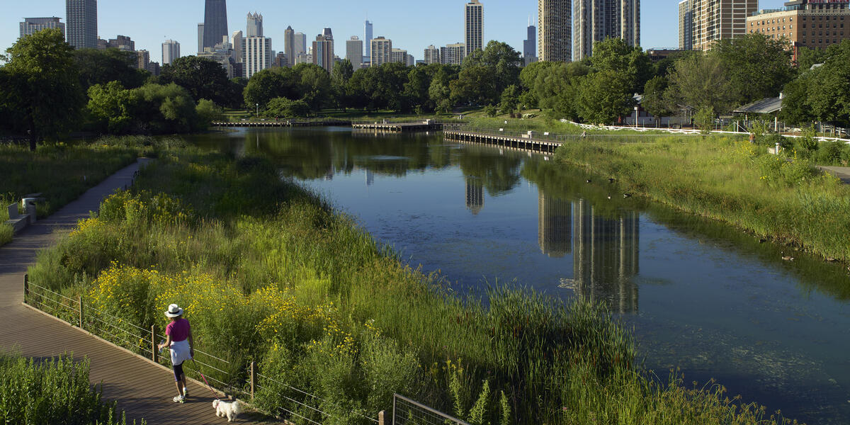 earthweek20206