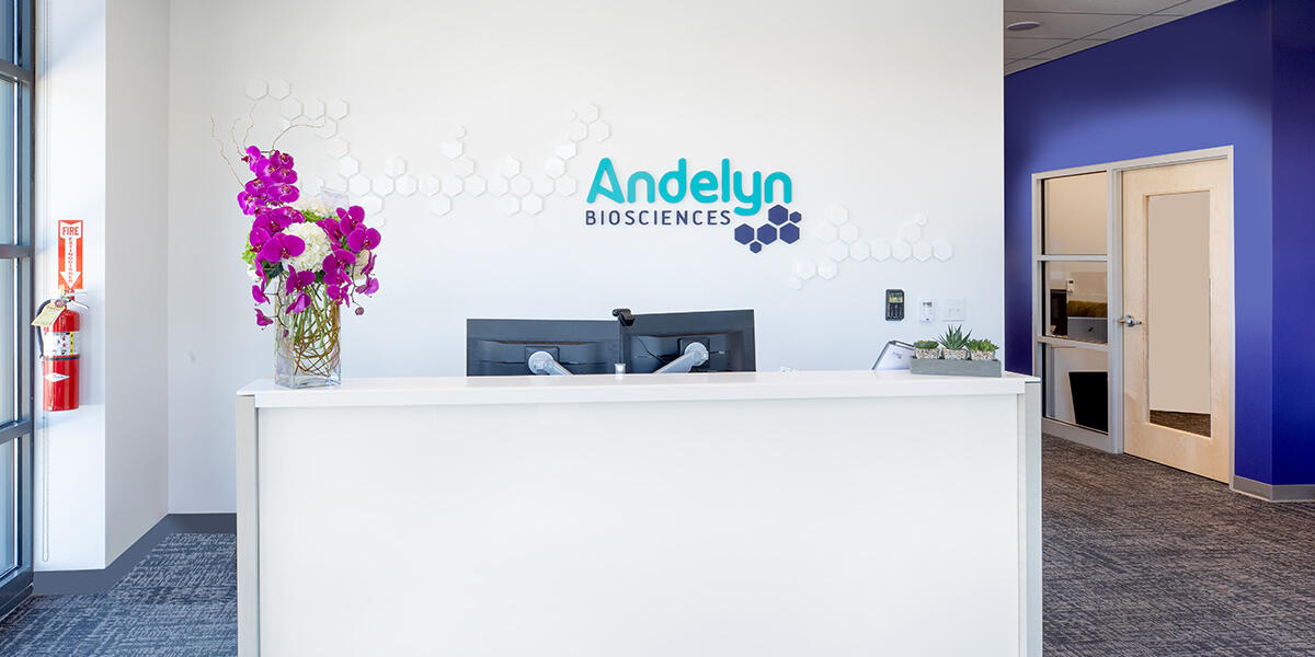 Andelyn Biosciences Office Buildout 