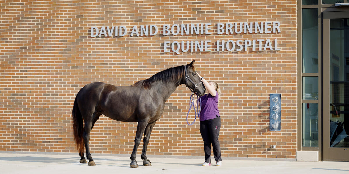 Purdue University Veterinary Medicine Teaching Hospitals