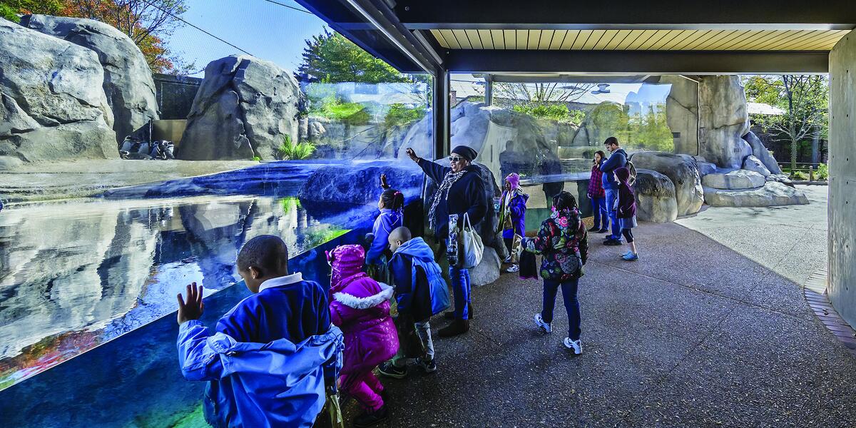 Photo of the finished Mayari Pritzker Penguin Cove at Lincoln Park Zoo