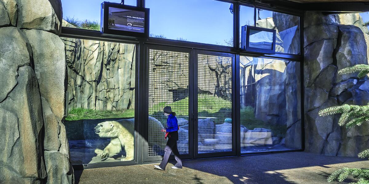 Photo of the finished Walter Artic Tundra Exhibit at Lincoln Park Zoo