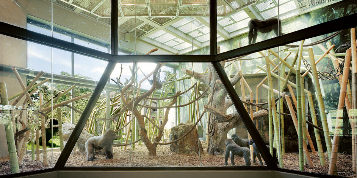 オブジェ　zoo New Regenstein Center African Ape Exhibit at Lincoln Park Zoo