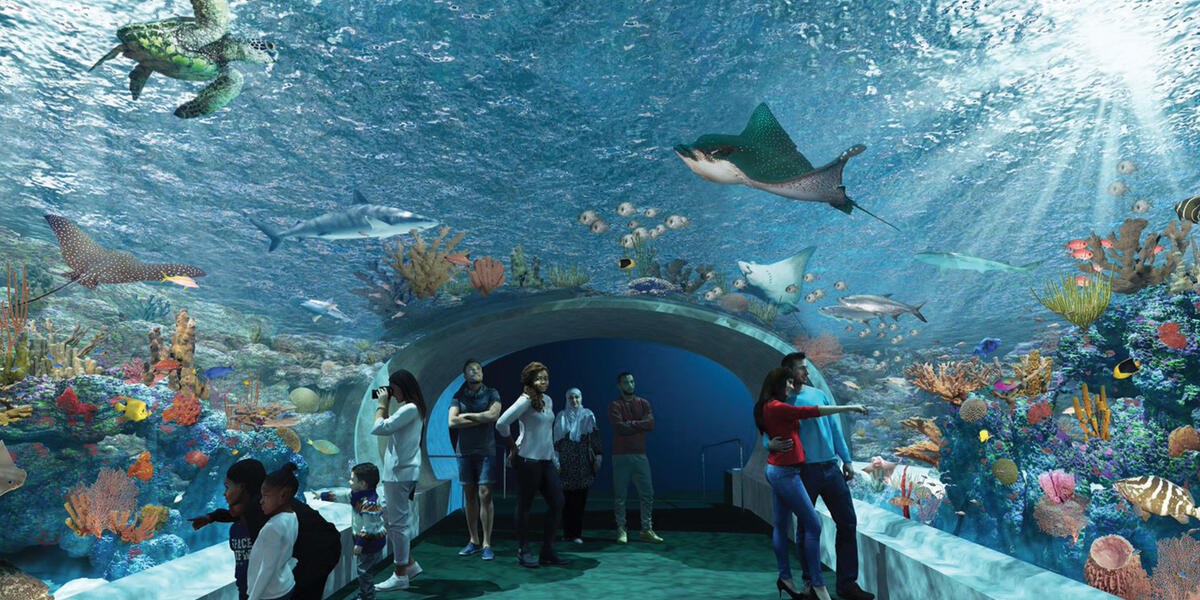 Shedd Aquarium renovation
