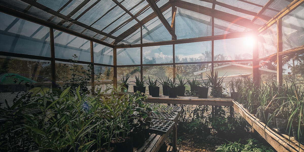 Greenhouse-Sustaining-Environments.jpg